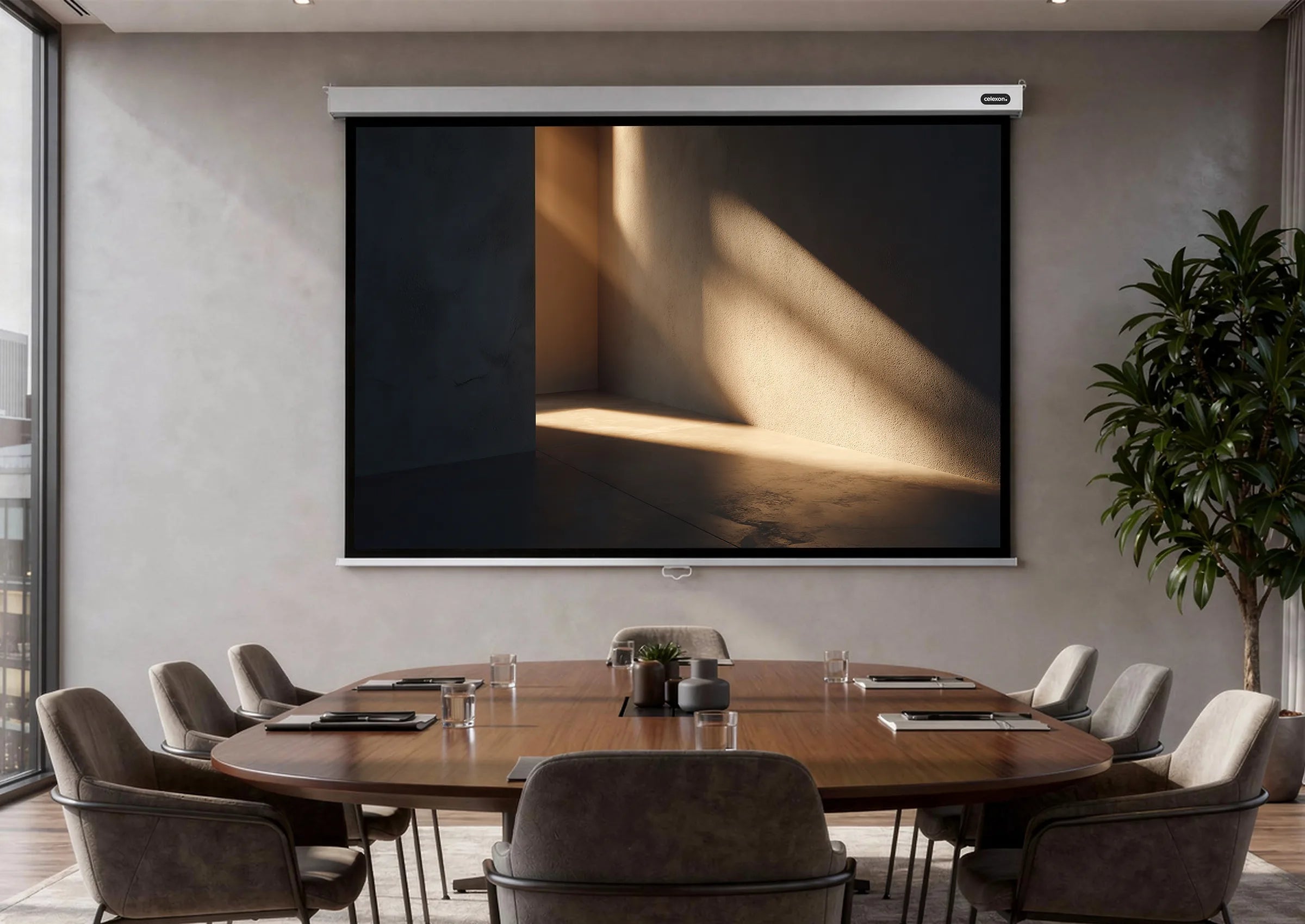 celexon-pro-plus-cran-de-projection-manuel-300x187-cm-16-10-gain-1-2 image 2
