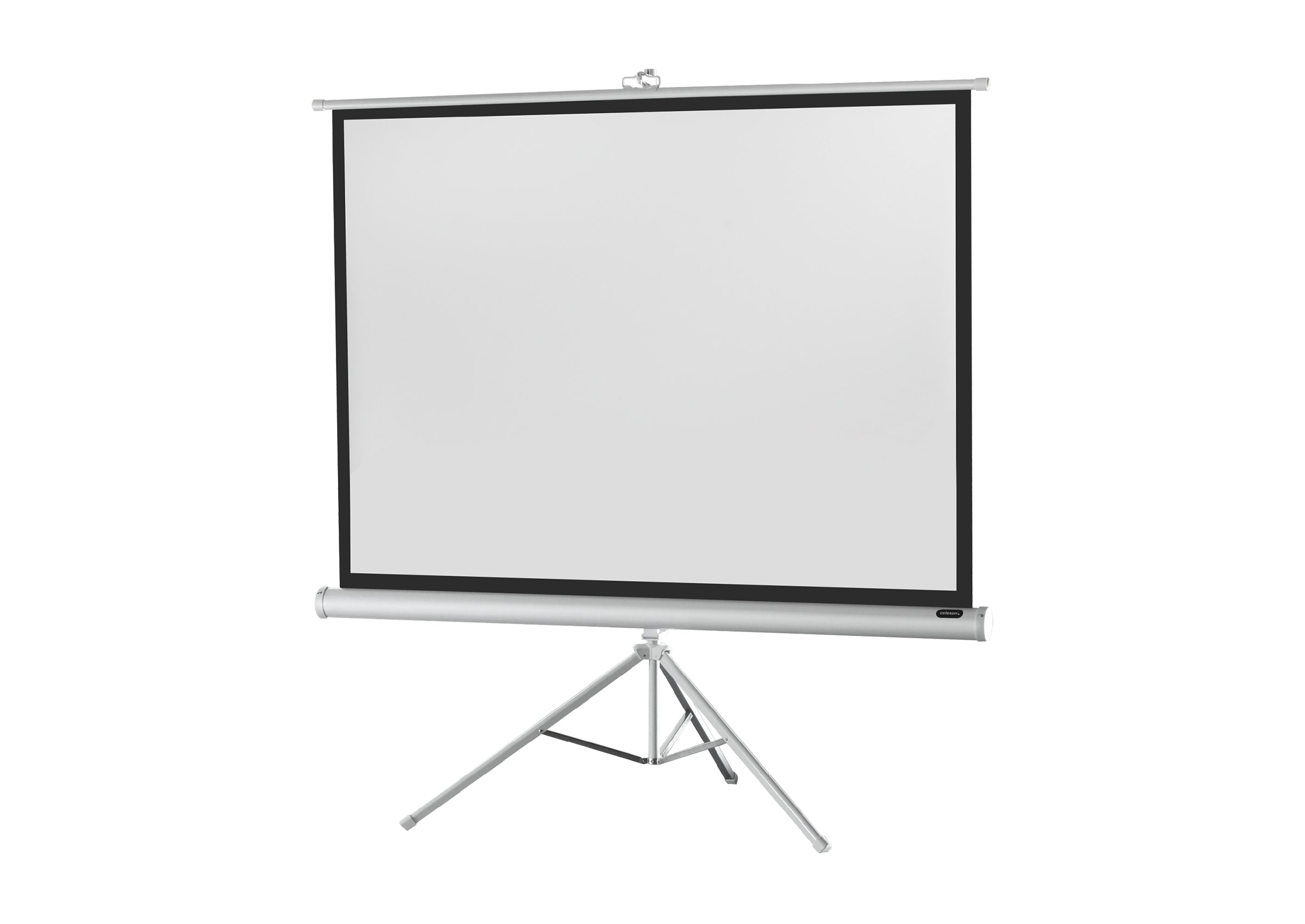 celexon-economy-cran-projection-sur-pied-white-158x89cm-16-9 image 3