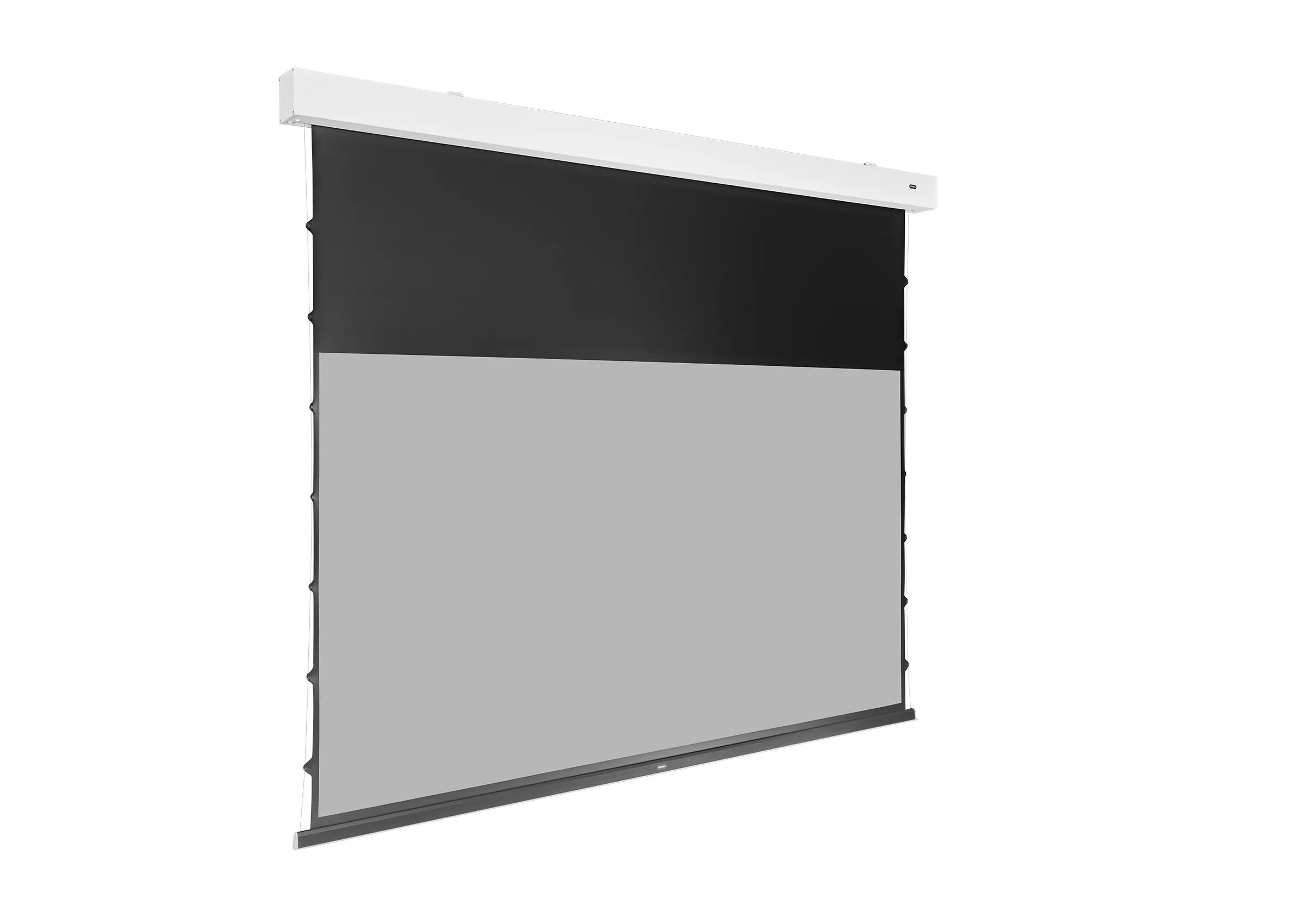 celexon-greyvision-premium-plus-cran-motoris-120-16-9 image 6