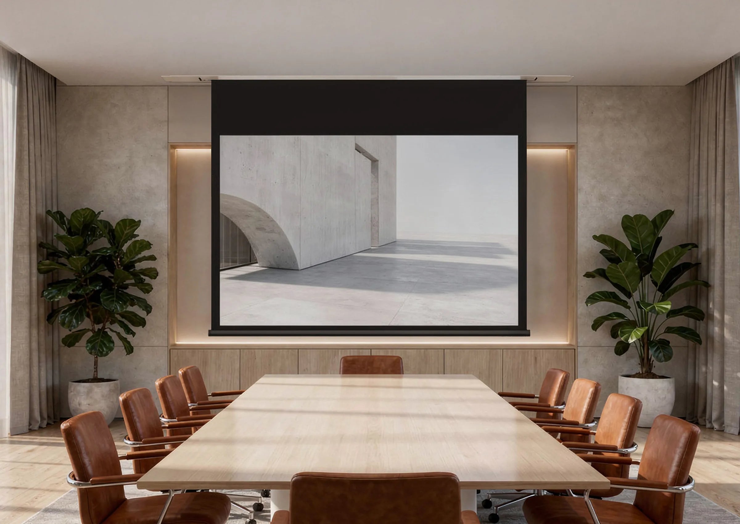 celexon-expert-cran-projection-encastrable-300x187cm-16-10 image 2