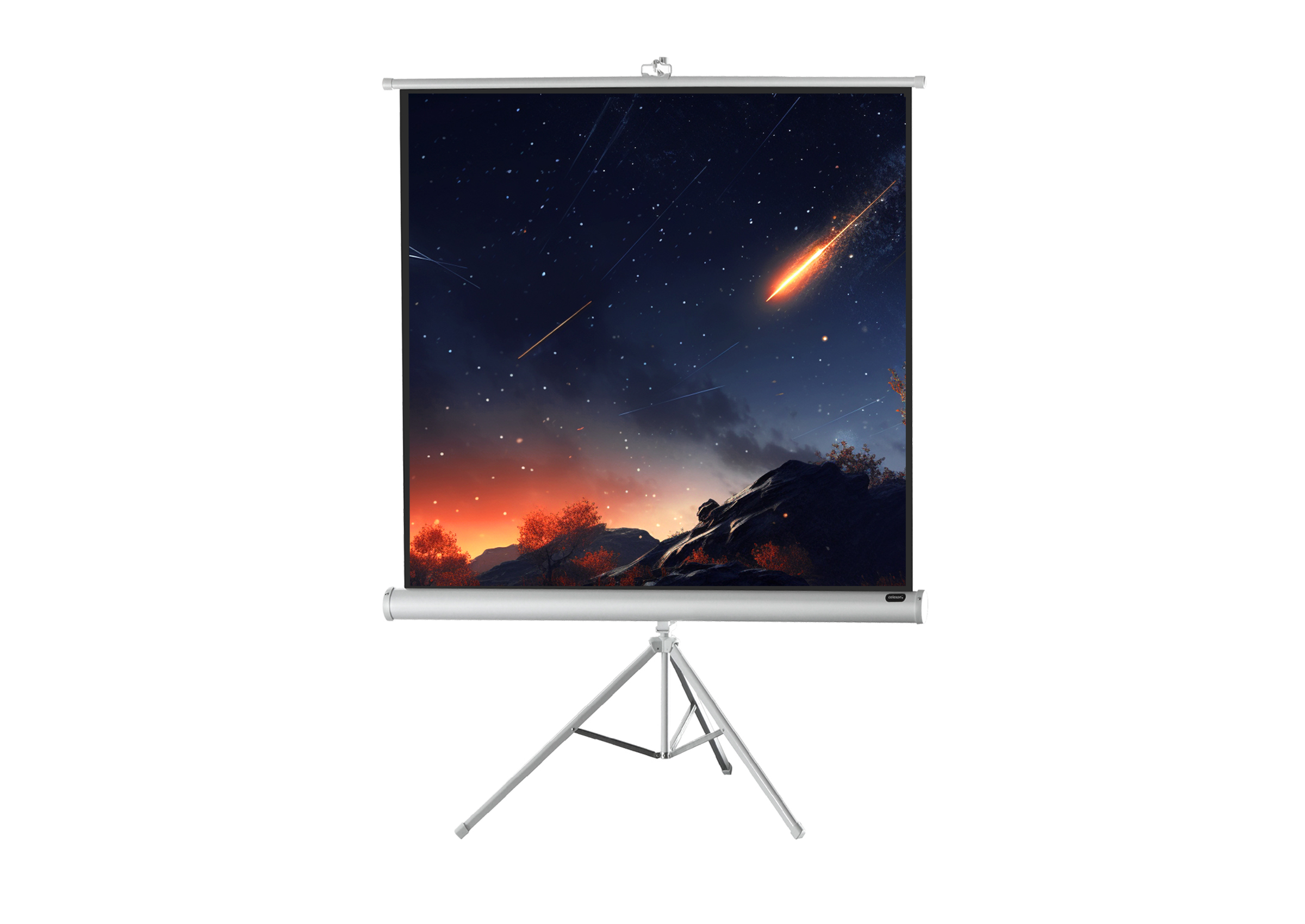 celexon-economy-cran-projection-sur-pied-white-158x89cm-16-9 image 5