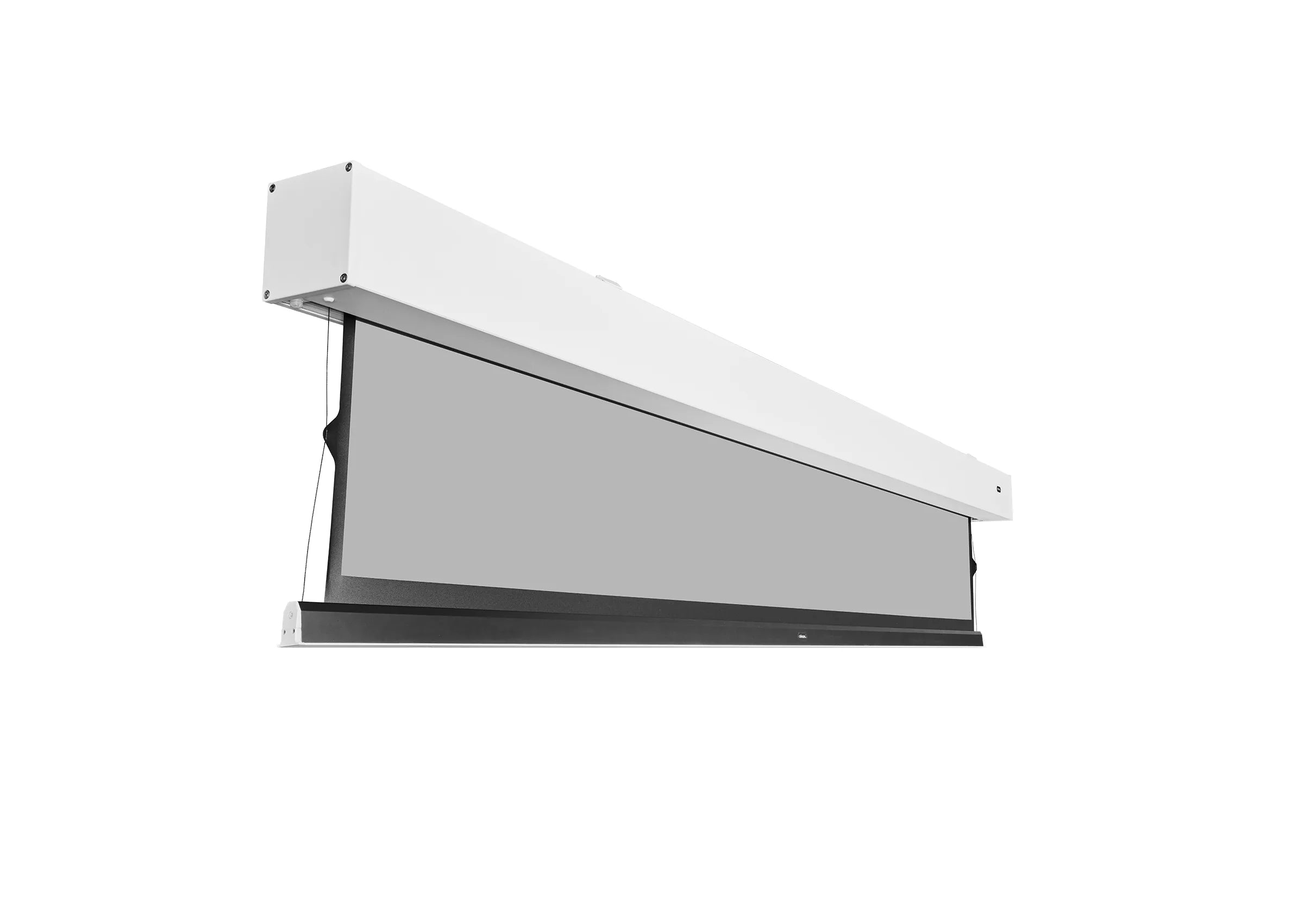 celexon-greyvision-premium-plus-cran-motoris-120-16-9 image 7