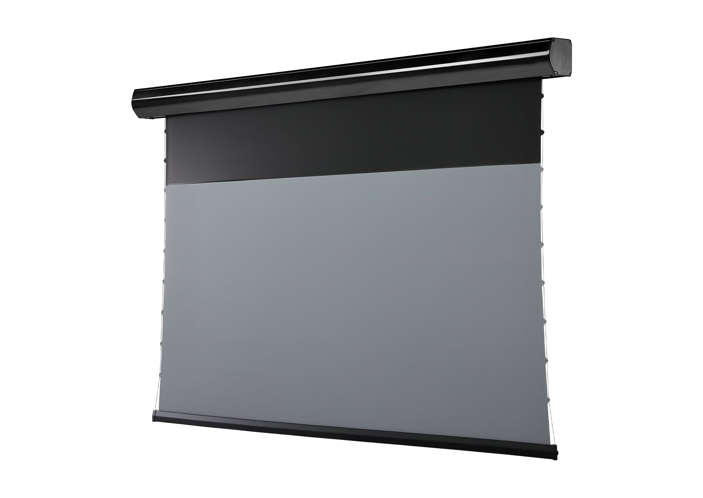 celexon-homecinema-plus-cran-projection-motoris-100-noir-clr image 3