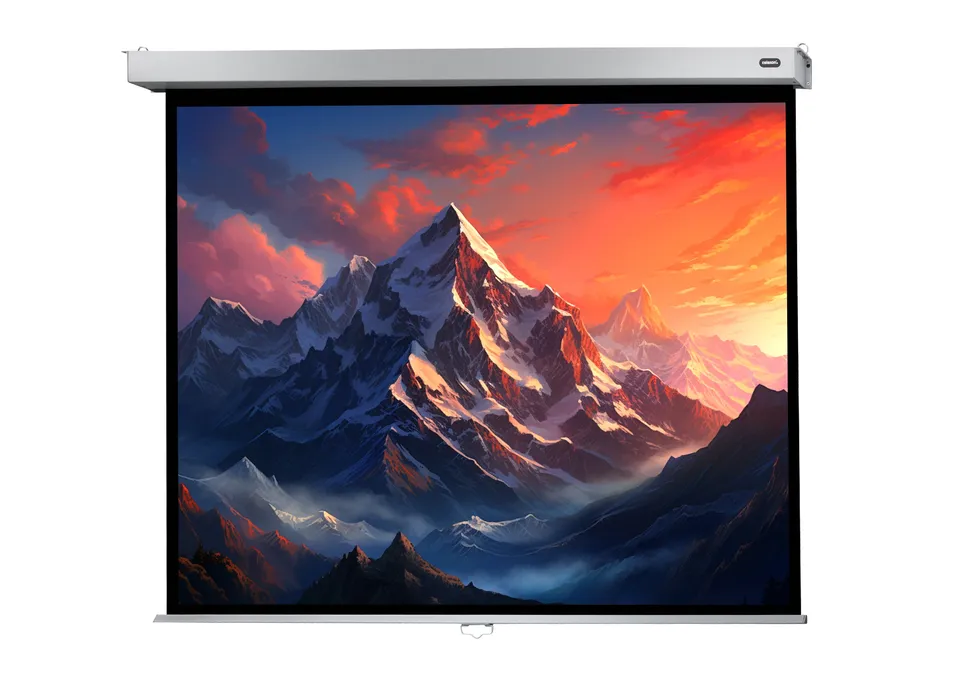 celexon-pro-plus-cran-de-projection-manuel-300x187-cm-16-10-gain-1-2 image 1