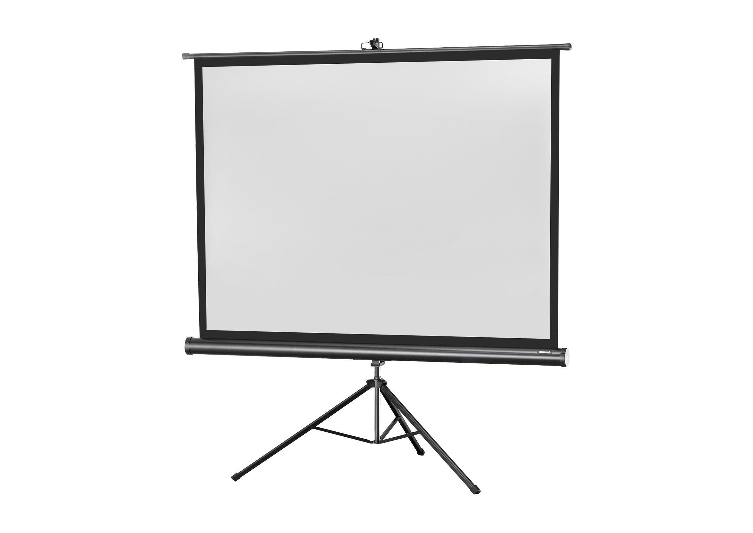 celexon-economy-cran-tr-pied-219x219-cm-1-1 image 3
